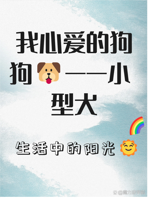 我的狗狗情人