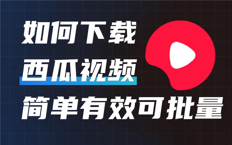 西瓜视频app安卓版