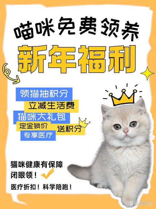 猫咪有你有我足矣入口2025