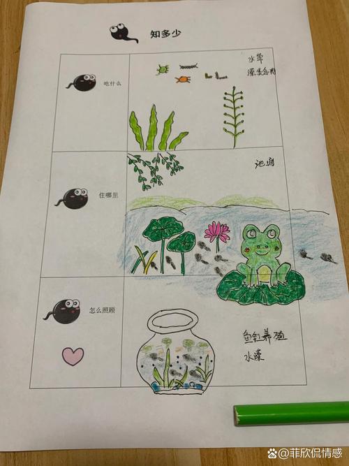 小蝌蚪丝瓜荔枝榴莲樱桃