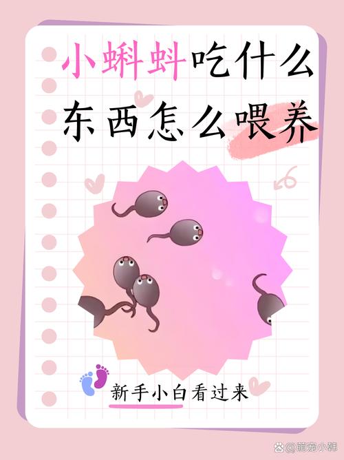 小蝌蚪丝瓜荔枝榴莲樱桃