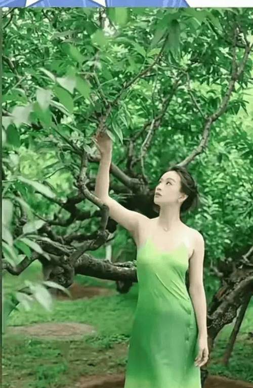 绿色视频在线观看