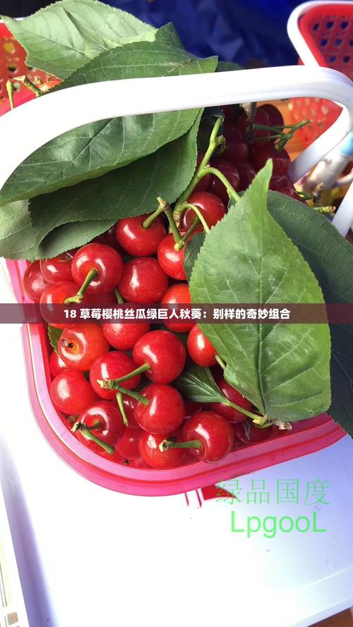 樱桃丝瓜榴莲樱桃秋葵绿巨人2025