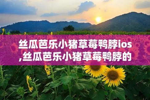 绿巨人芭乐丝瓜草莓向日葵小猪鸭脖