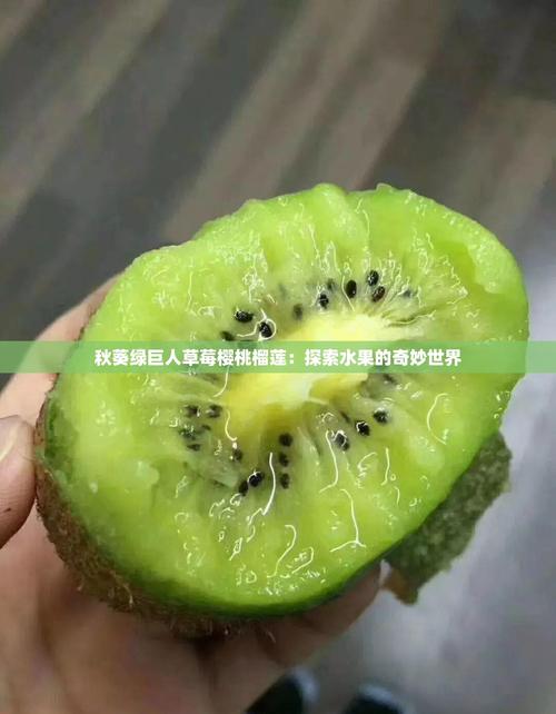 丝瓜樱桃秋葵榴莲菠萝蜜绿巨人