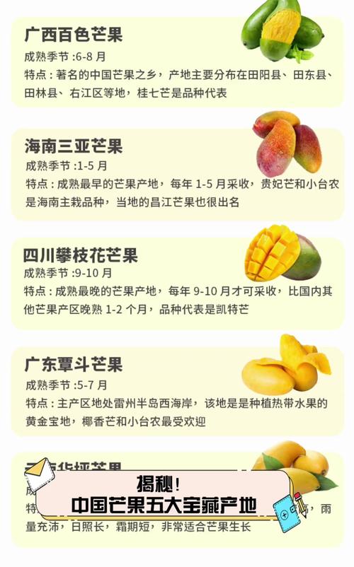 国产四线区芒果
