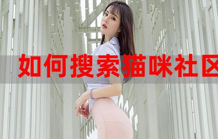 猫咪社区官方在线最新HD
