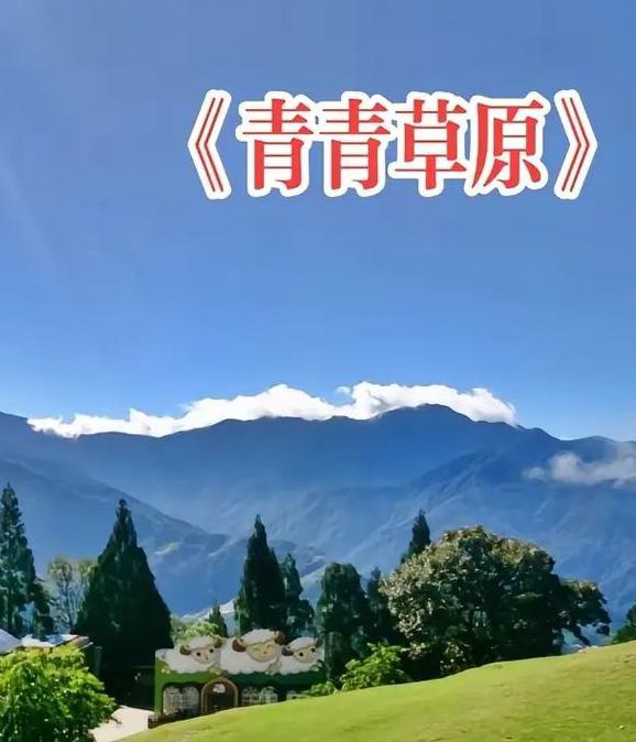 青青音乐